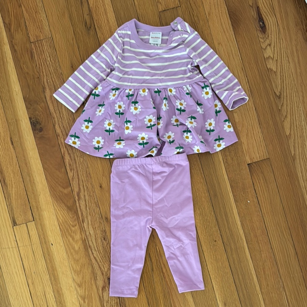 Hanna Andersson Lavender Striped Dress with Floral Design and Leggings